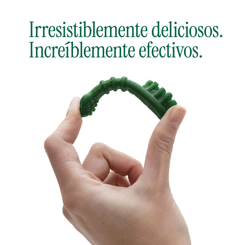 Menthic Cepillo - 185 gr - Talla Medium