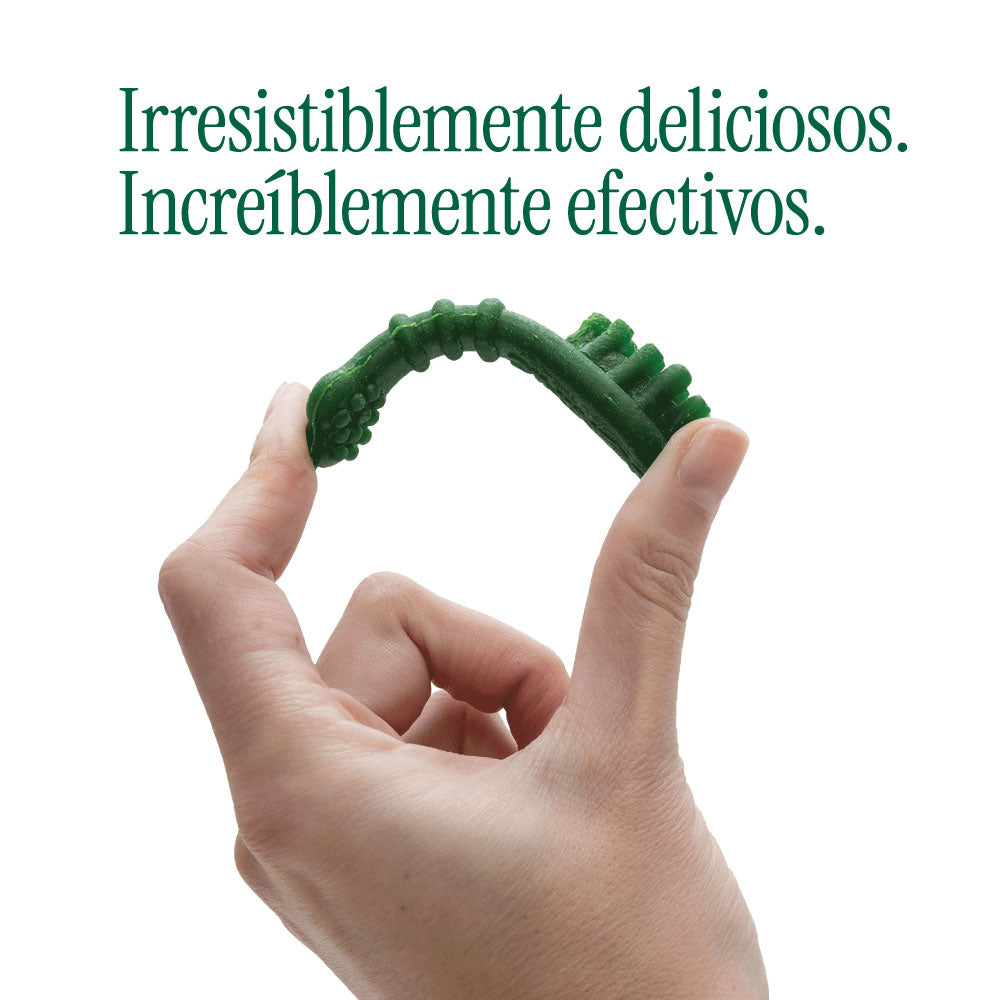 Menthic Caja Dispensadora Sachet - Talla Small