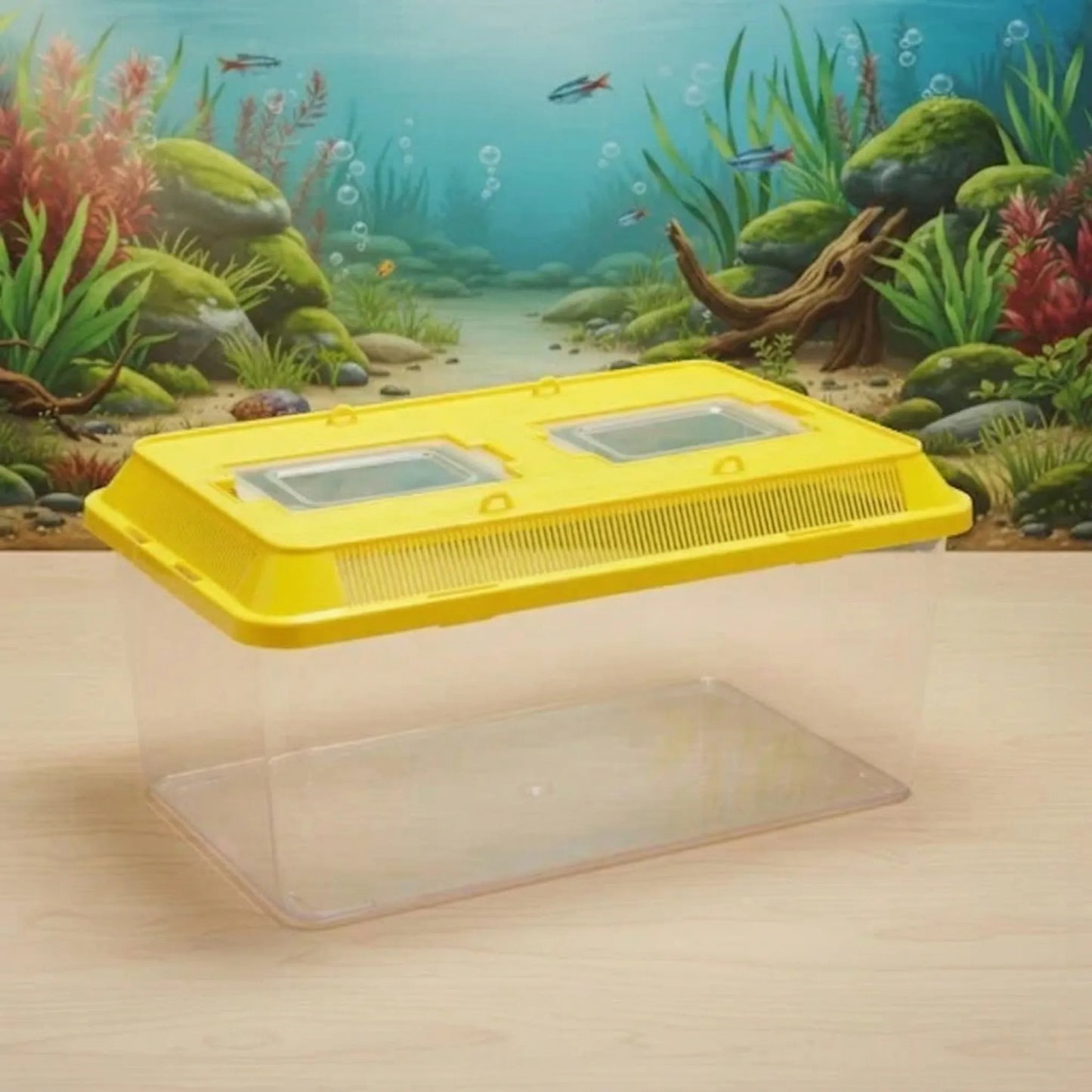 ACUARIO PECES MEDIANO (solo)