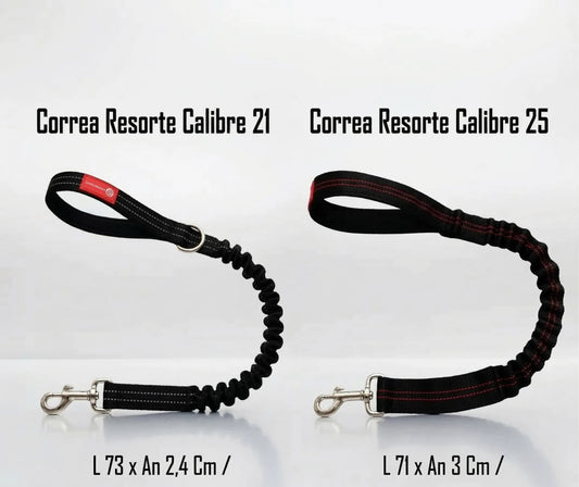 CORREA RESORTE
