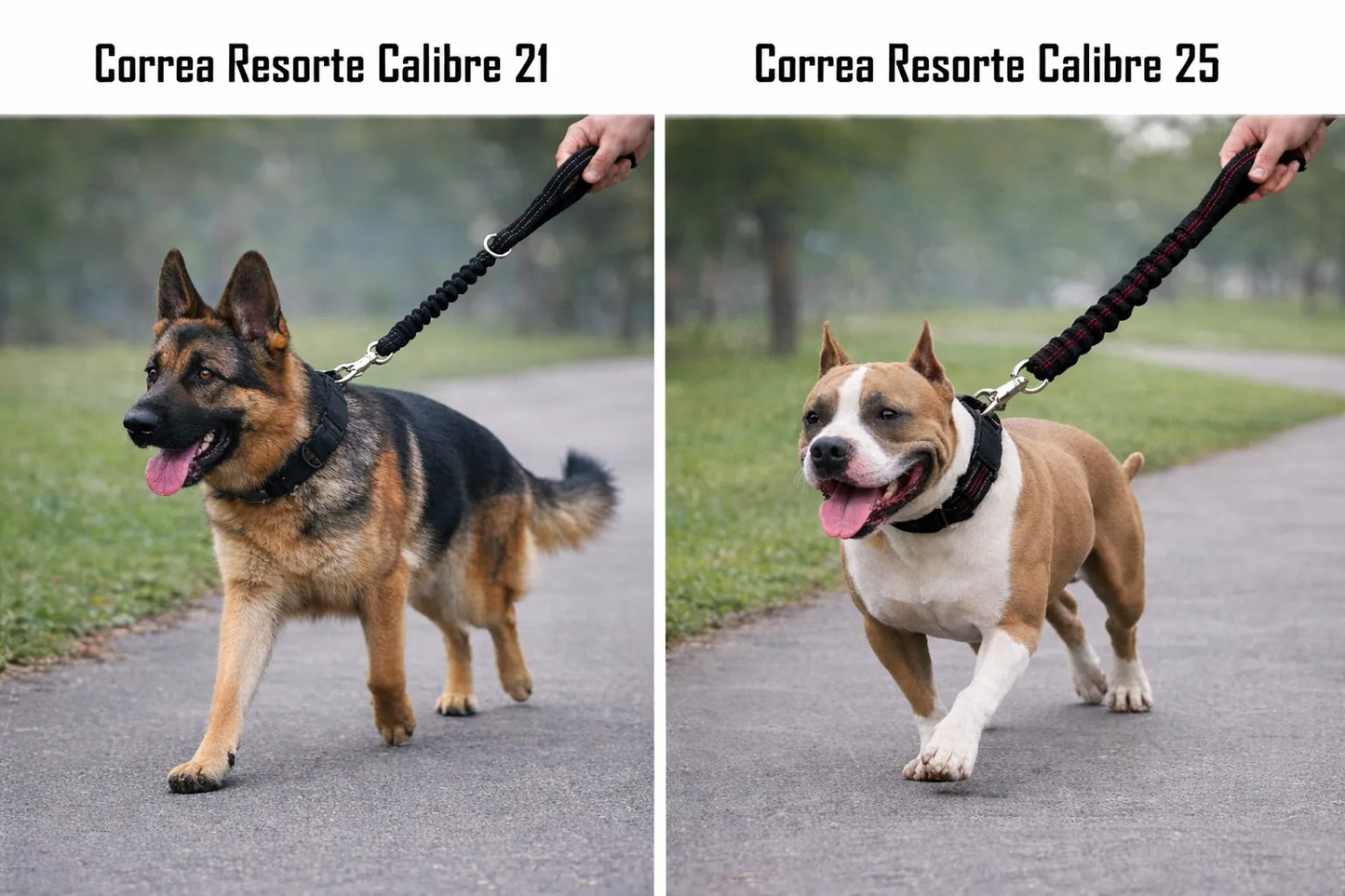 CORREA RESORTE