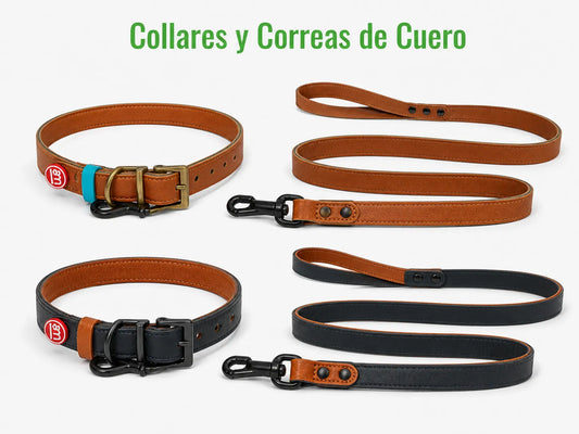 CORREA Y COLLAR CUERO