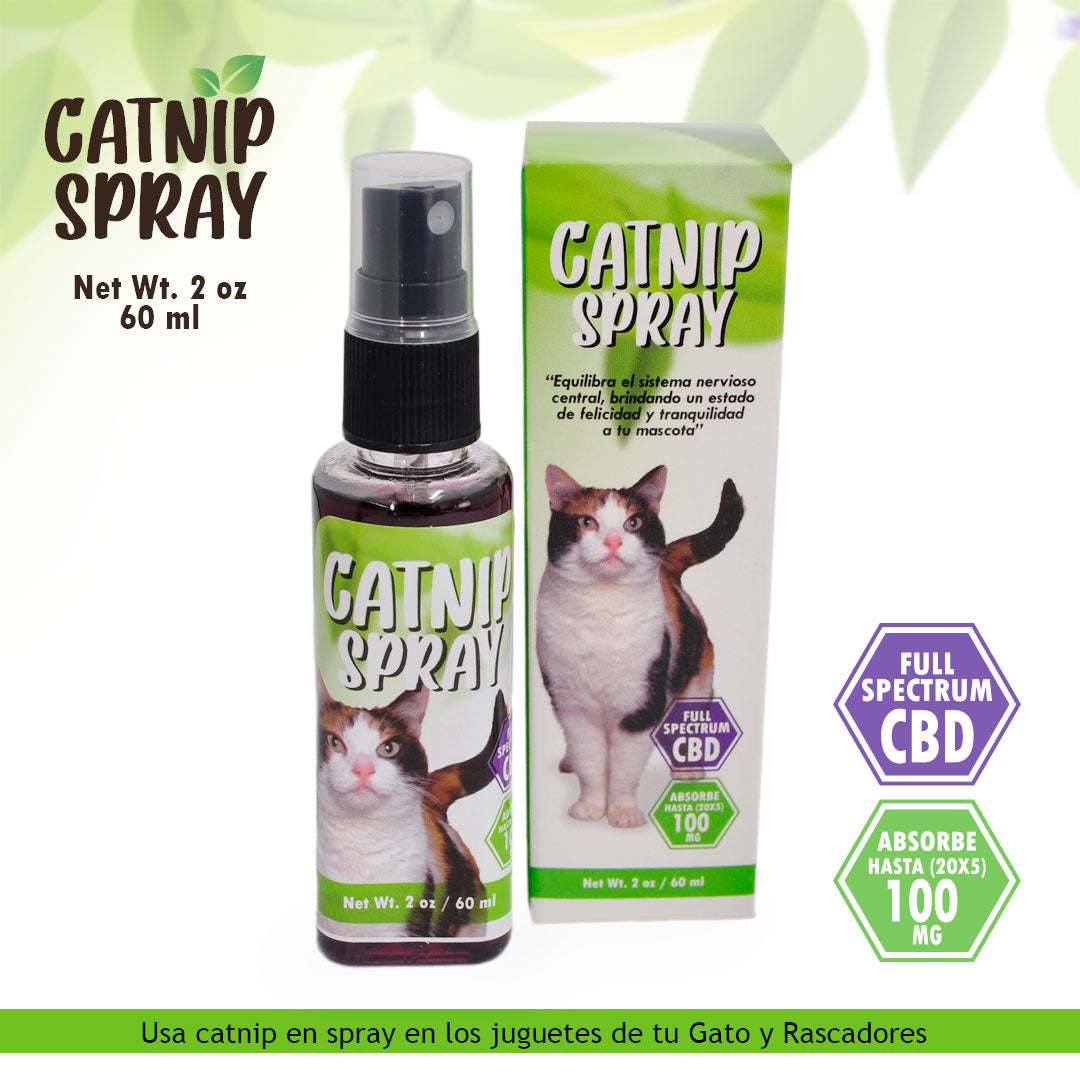 CATNIP SPRAY