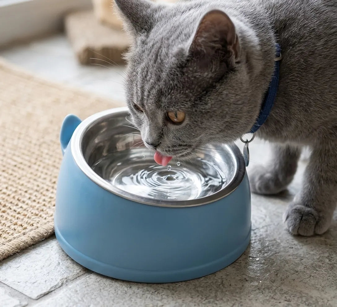 COMEDERO GATO CON PLATO METÁLICO