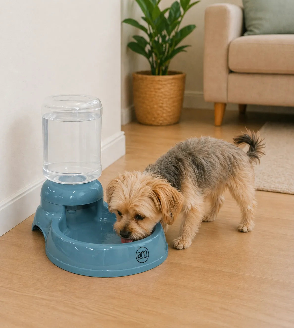DISPENSADOR DE AGUA BOTELLON