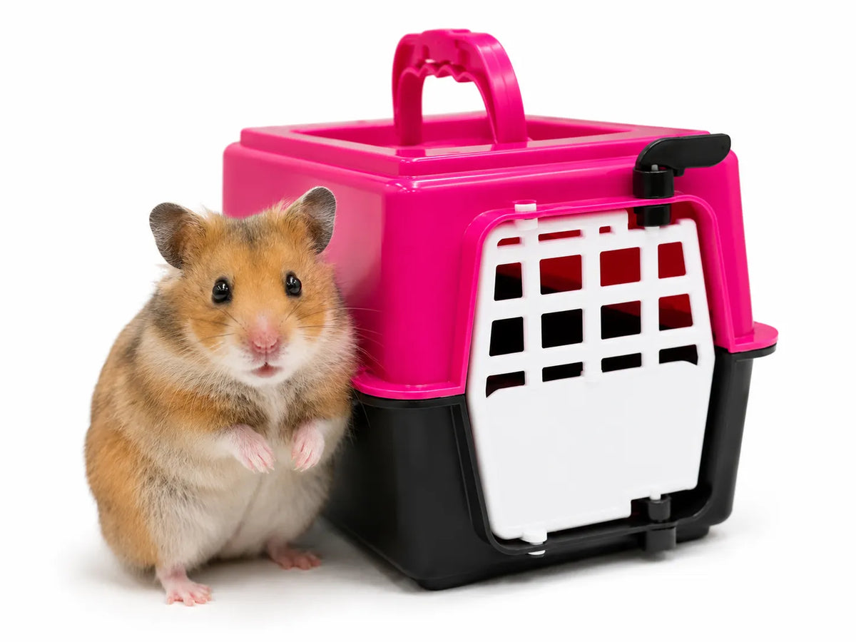 GUACAL MINI HAMSTER