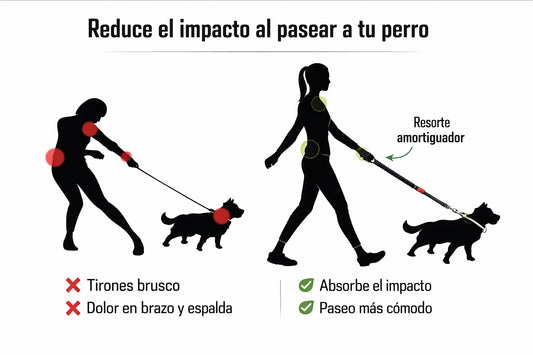 PET AMORTIGUADOR / CORREA ANTITIRONES
