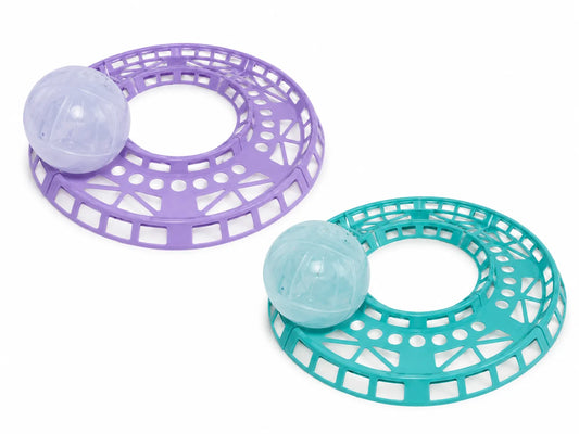 PISTA + BOLA HAMSTER