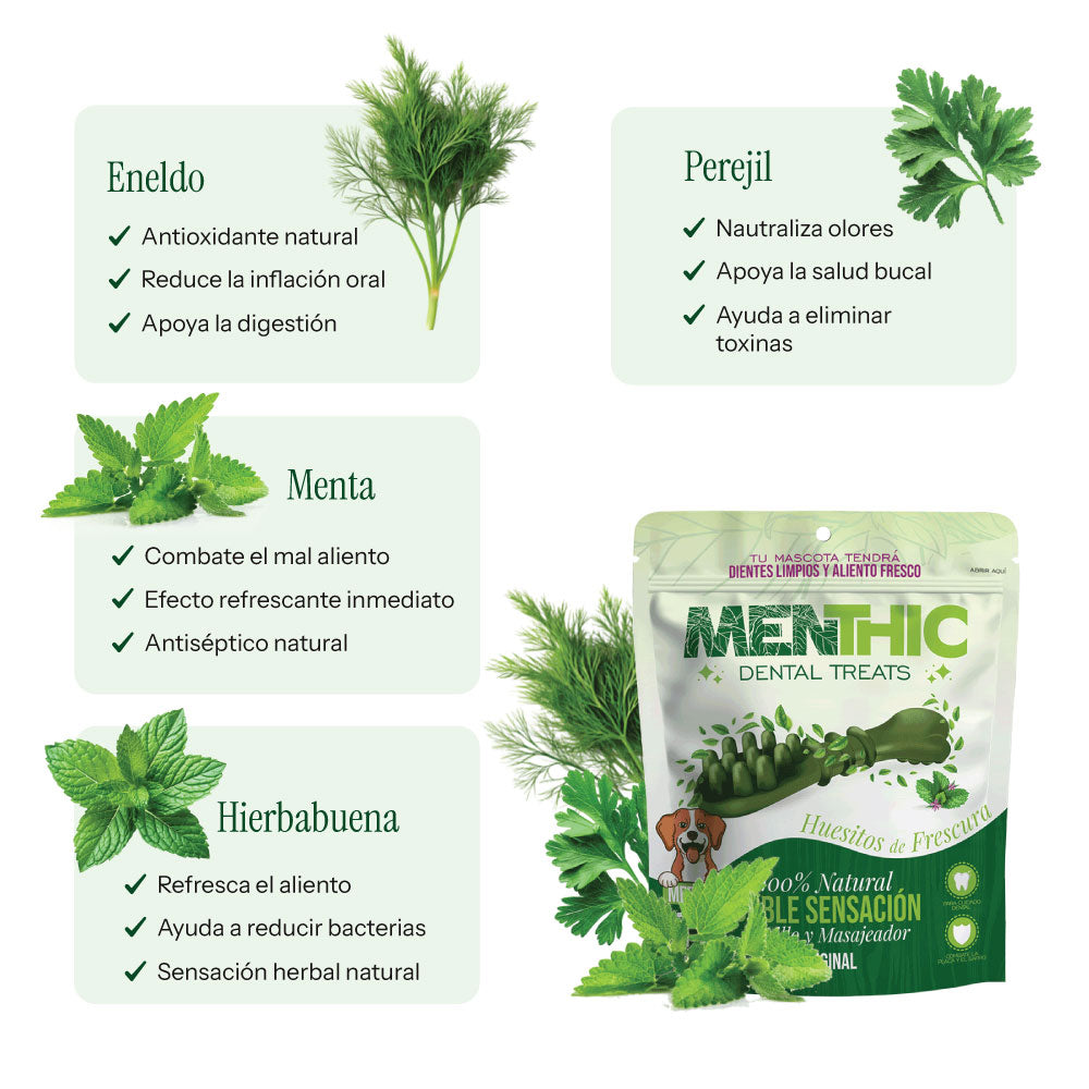Menthic Cepillo - 185 gr - Talla Medium