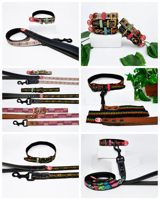 COLLAR Y CORREA BORDADO