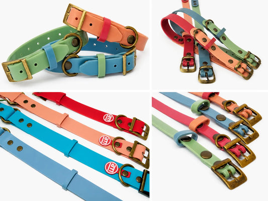 COLLAR PLASTICO