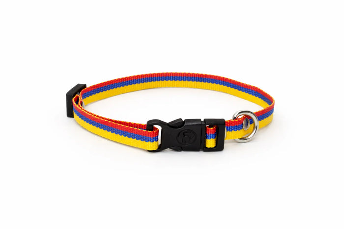 Collar Gato y Perro Raza Pequeña