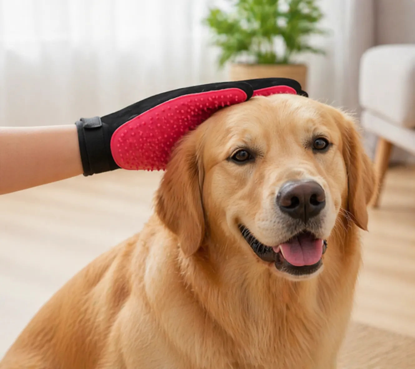 GUANTE CEPILLO PET GLOVES