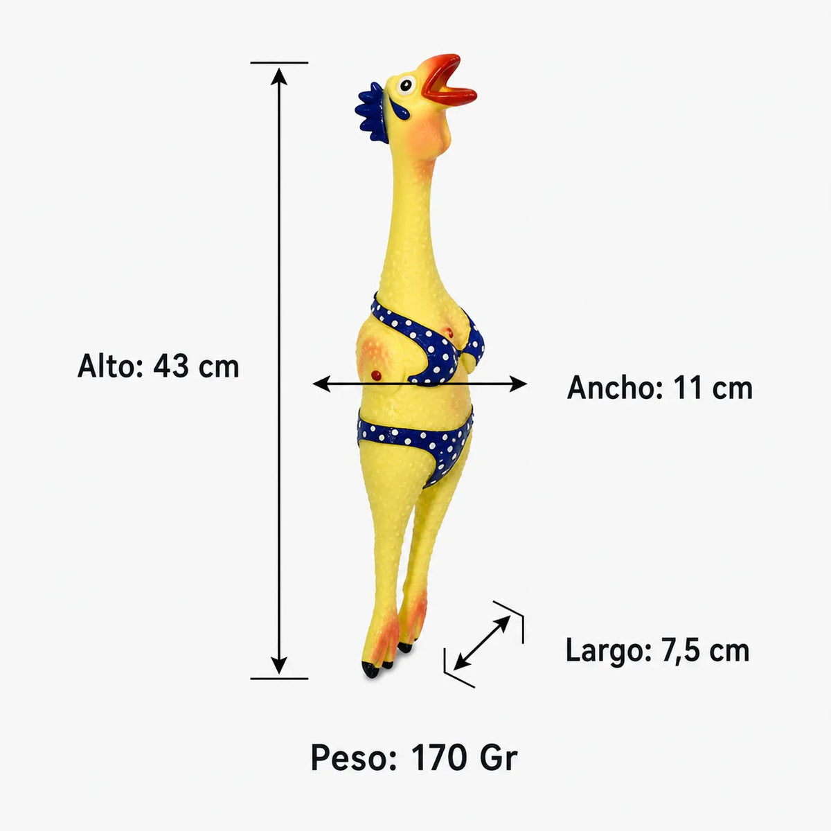 GALLINA