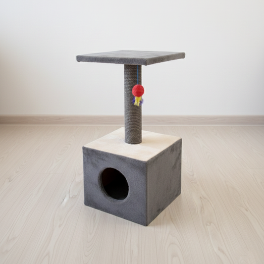 GIMNASIO CASA CUBO
