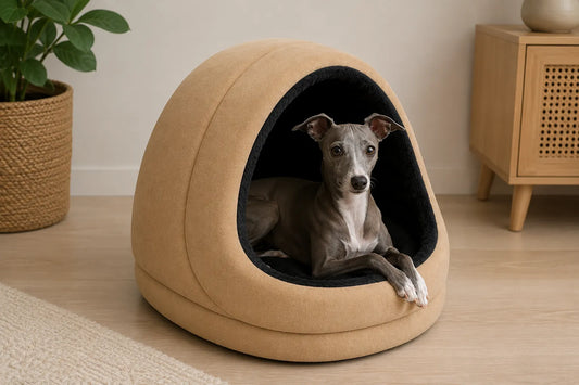 IGLOO DE PELUCHE