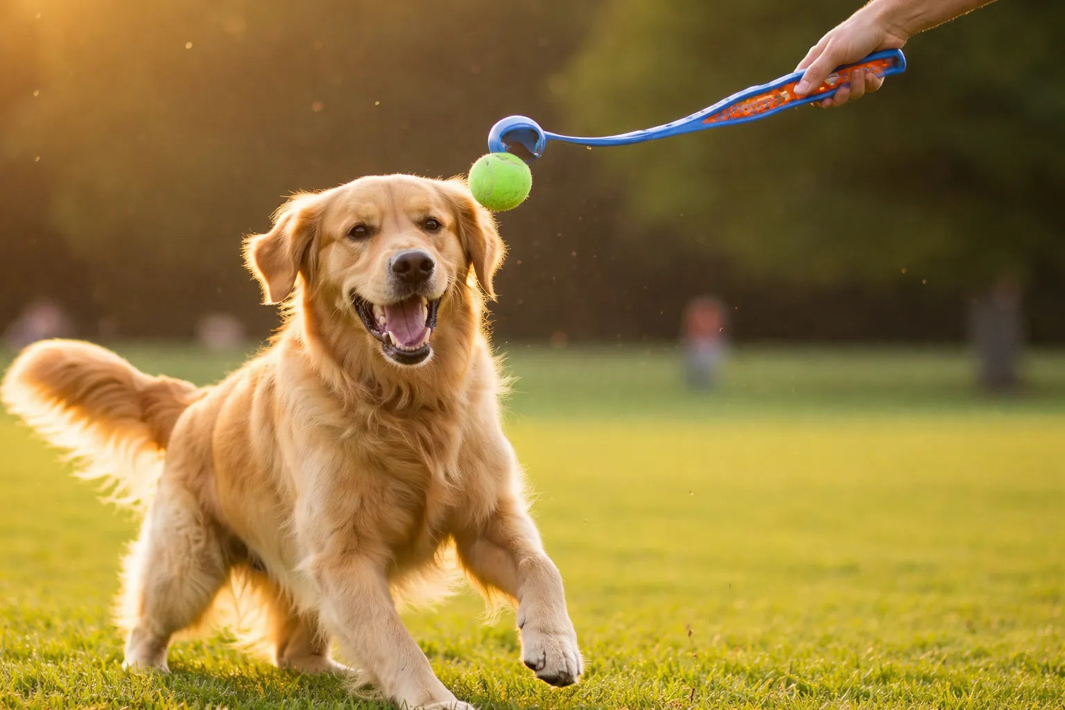 LANZADOR DOBLE POTENCIA CON PELOTA MACIZA