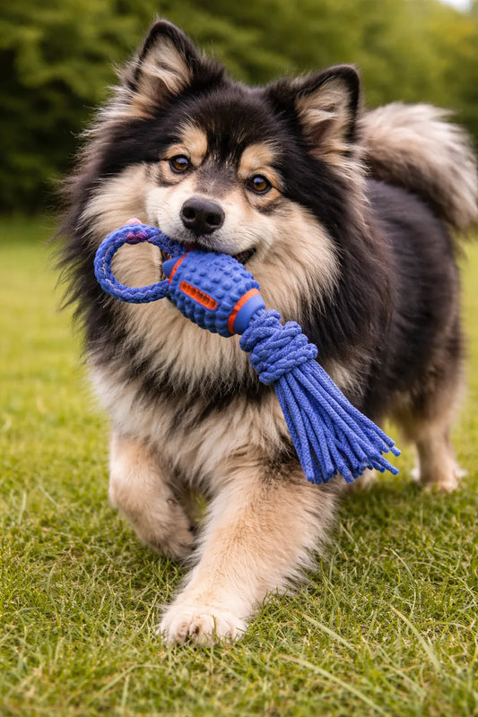 PELOTA JUMBO LAZO