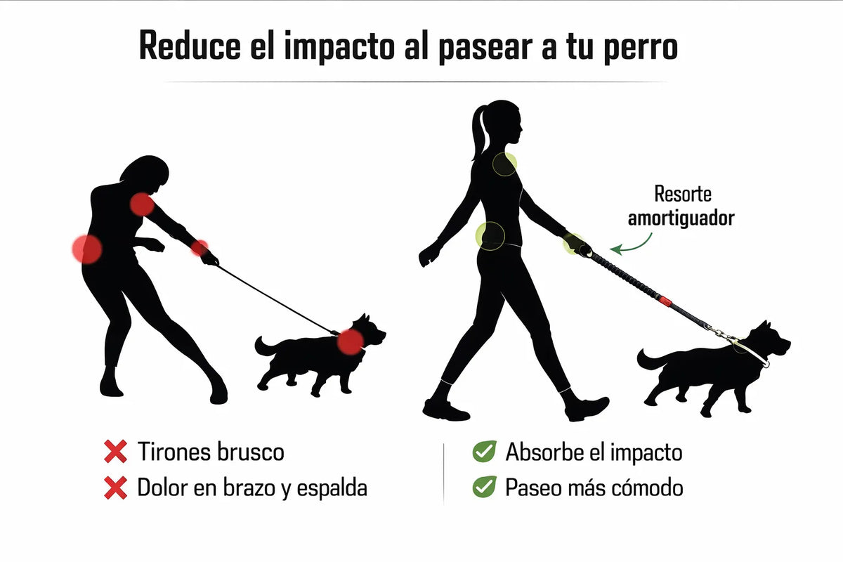 PET AMORTIGUADOR / CORREA ANTITIRONES