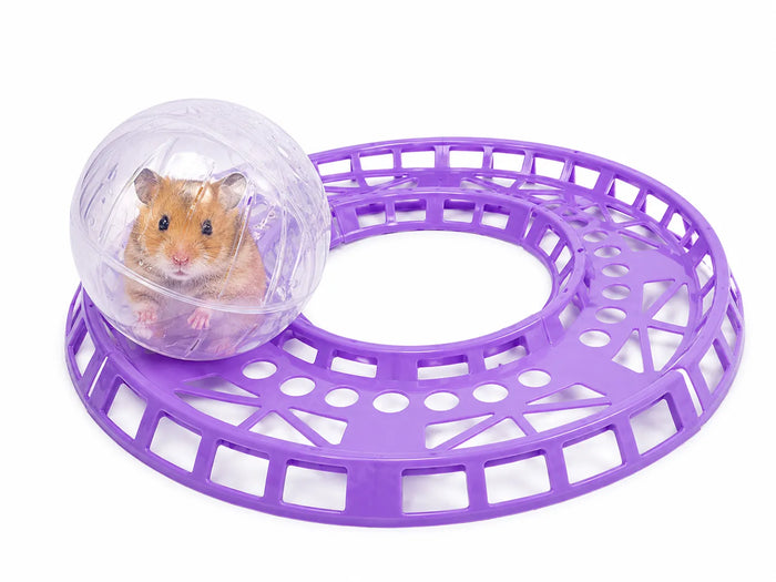 PISTA + BOLA HAMSTER