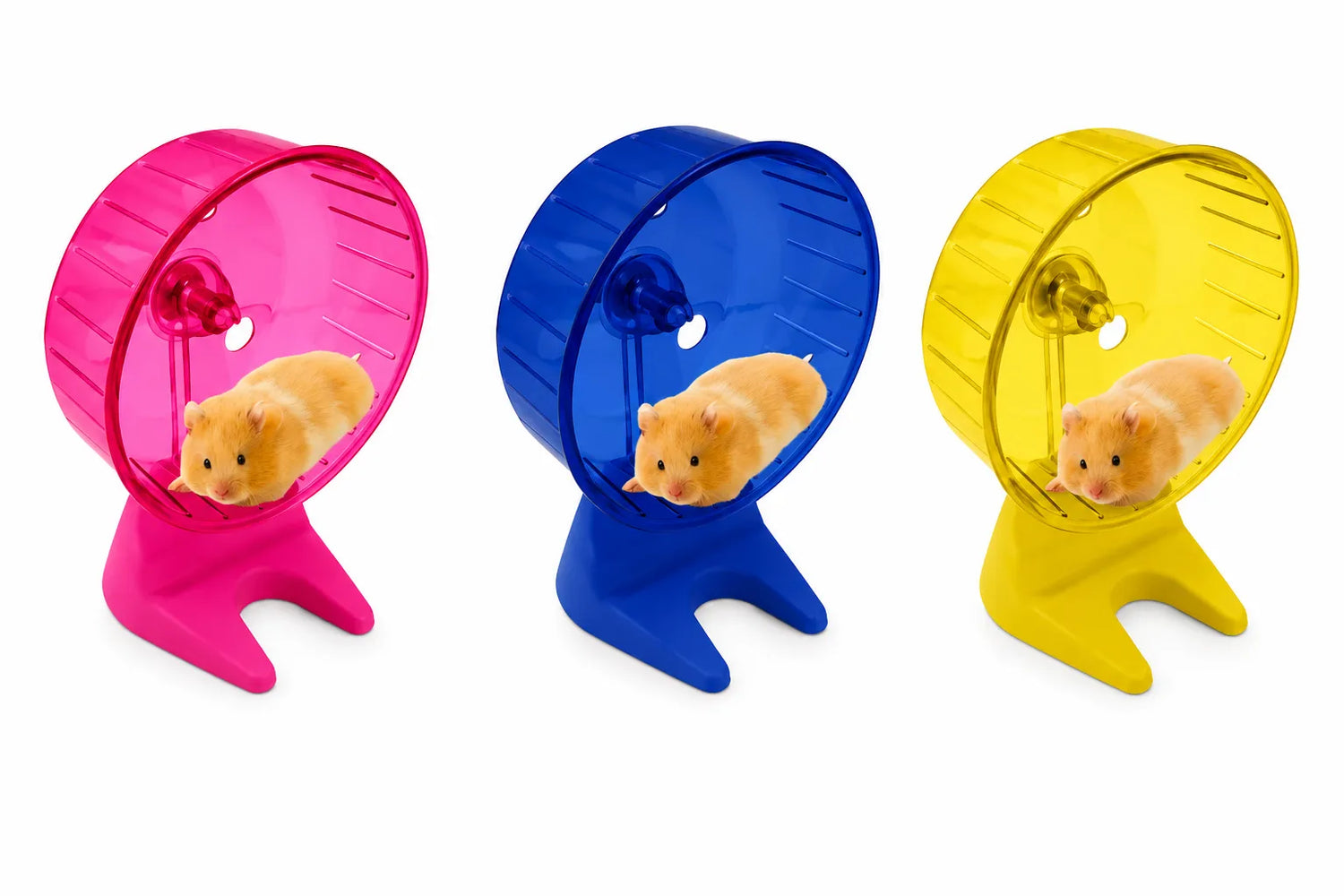 RUEDA HAMSTER