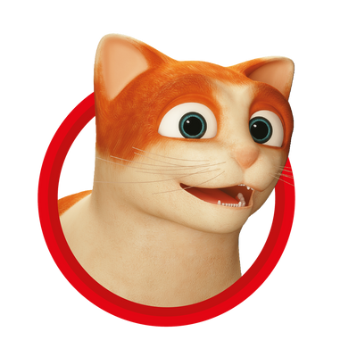 Gatos