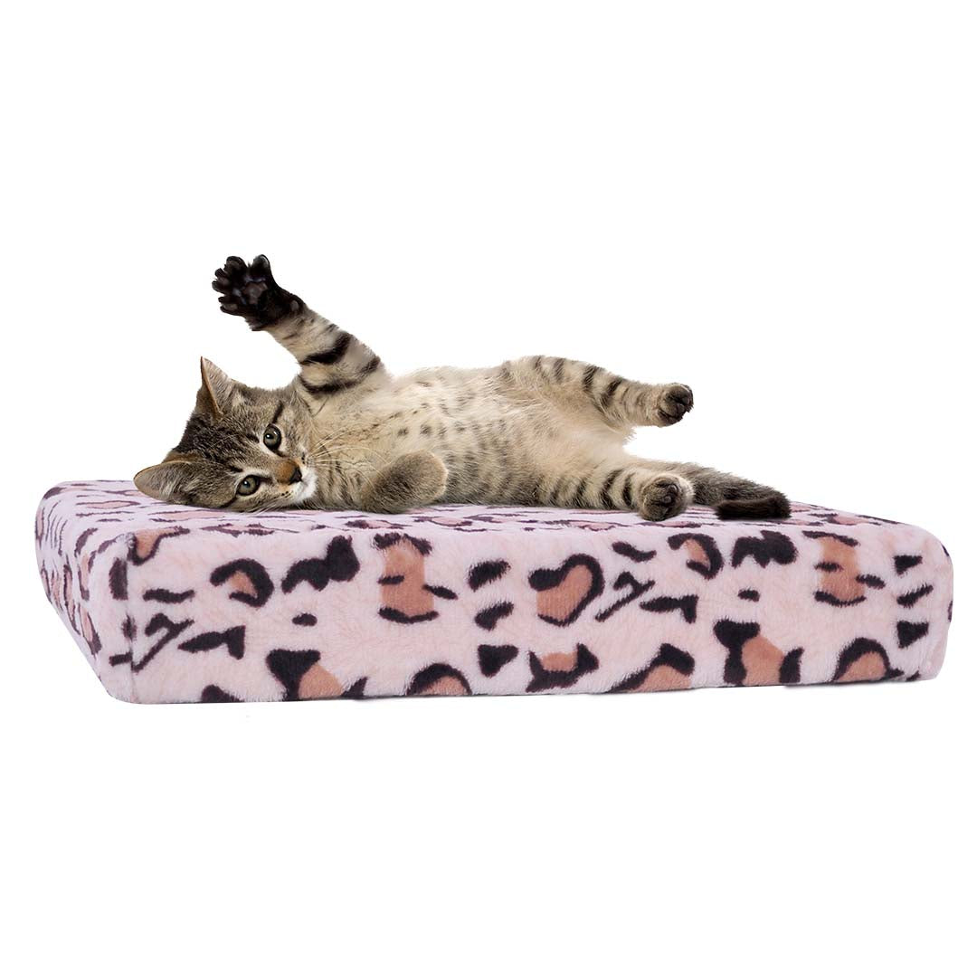 BASE CAMA