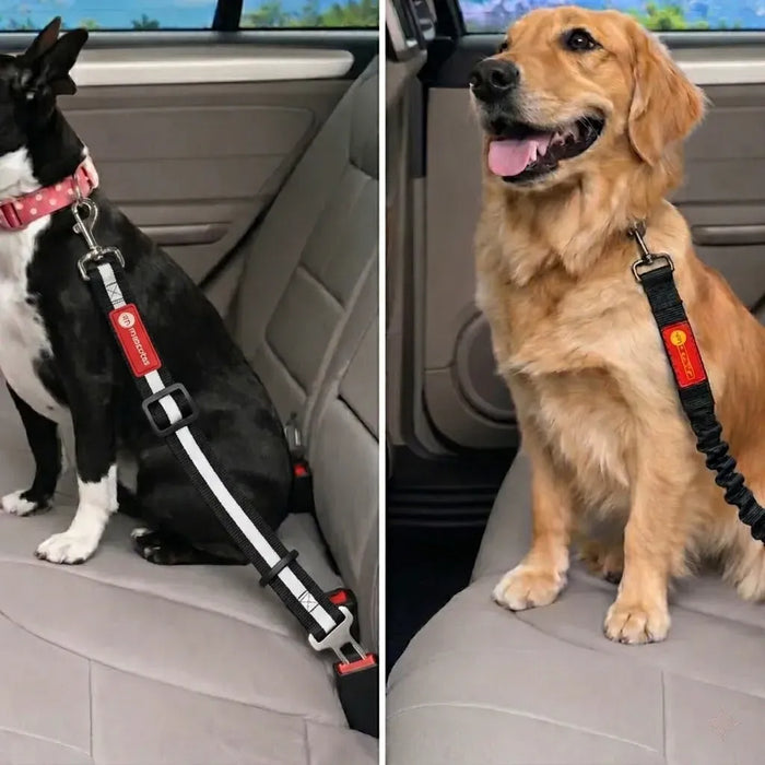 CINTURON SEGURIDAD CARRO