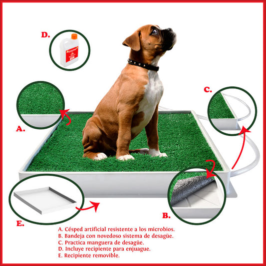 Potty Pet para Perros