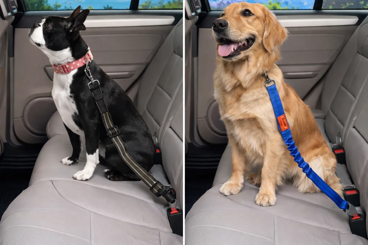 CINTURON SEGURIDAD CARRO